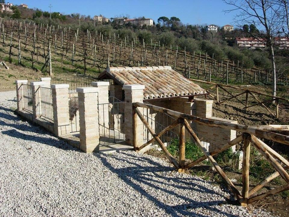 Spinetoli B&B L' Antica Fonte المظهر الخارجي الصورة